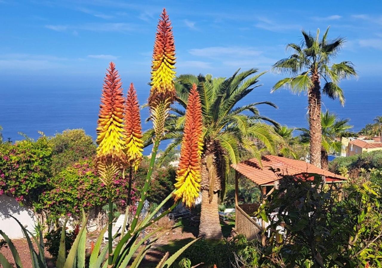 Villa Larnia De Tenerife El El Sauzal Exterior foto