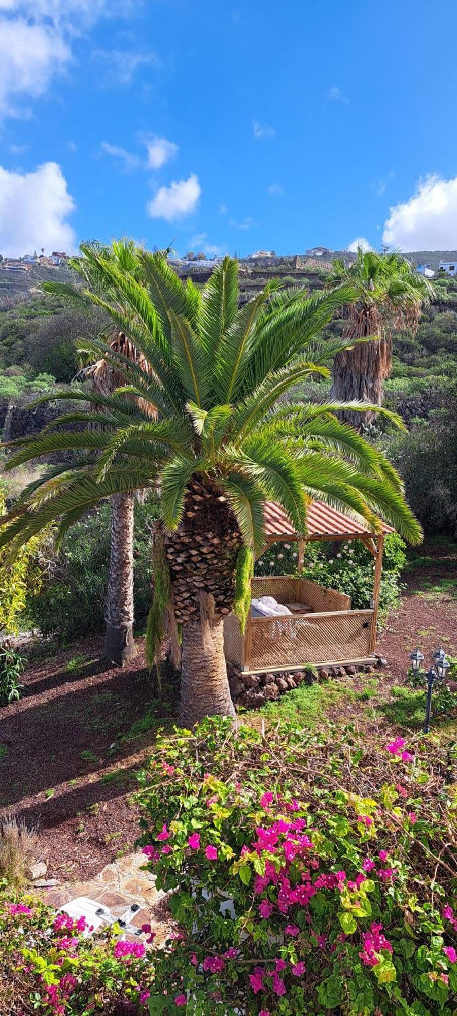 Villa Larnia De Tenerife El El Sauzal Exterior foto