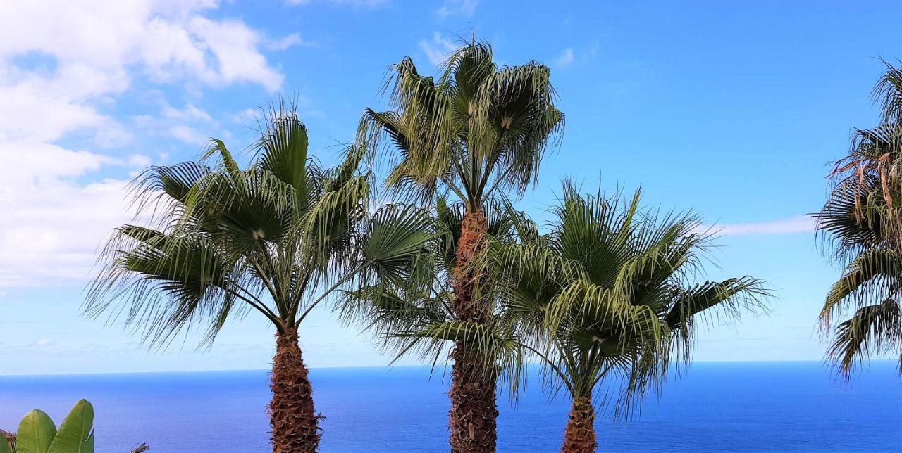 Villa Larnia De Tenerife El El Sauzal Exterior foto
